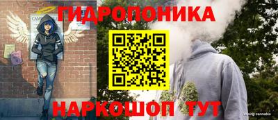 молекула духа Уссурийск