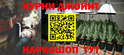 молекула духа Уссурийск