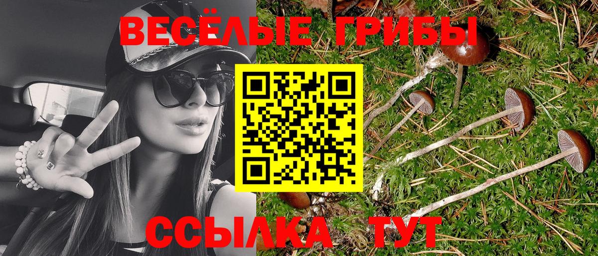 Галлюциногенные грибы GOLDEN TEACHER Туймазы
