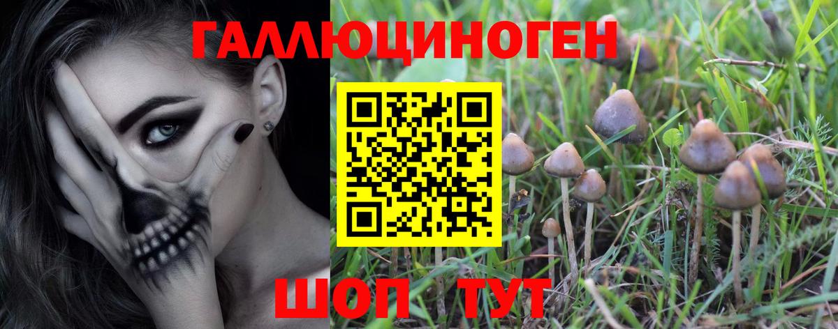 Псилоцибиновые грибы Psilocybine cubensis  Вход с VPN  Туймазы  Галлюциногенные грибы GOLDEN TEACHER 
